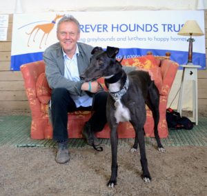 Greyhound with actor