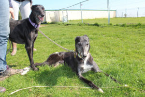 Delta and Sierra