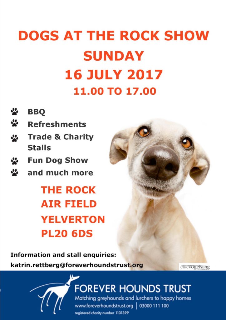 Dogs at the Rock poster