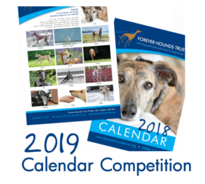 Calendar competition