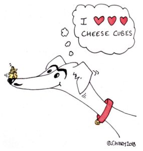 Happy dog with cheese on its nose