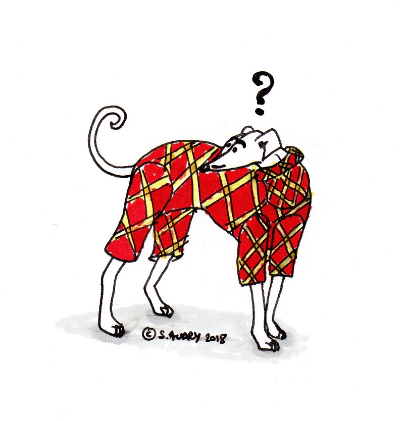 Cartoon of confused dog wearing pajamas