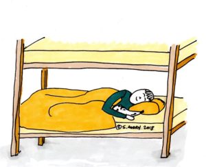 Dog in bunk bed with owner