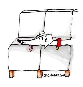 Sick dog lying on a sofa
