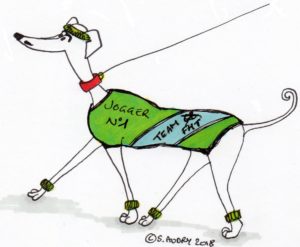 Dog in jogging clothes and sweatbands