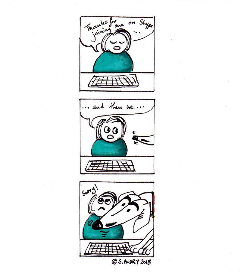 Funny cartoon about a dog joining in a Skype call