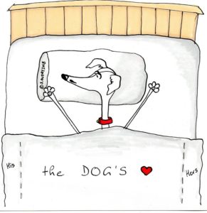 Dog stretches out in bed
