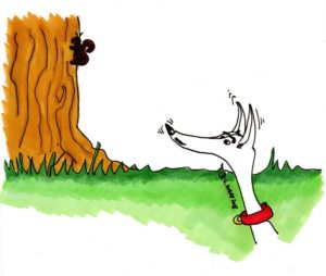 Dog chases a squirrel