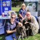 Group with dog stall