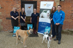 Pet-food-launch