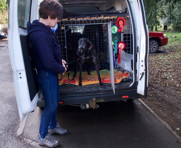 Oyster Van to Vet