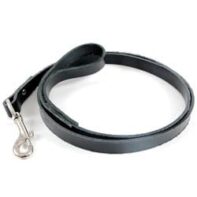 Basic Leather Lead