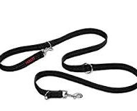 Halti training lead
