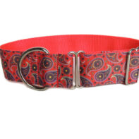 Everyday walking collar - Red paisley