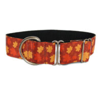 Everyday walking collar - Maple leaf