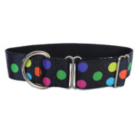 Everyday walking collar - Multicolour circle