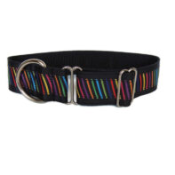 Everyday walking collar - Multicolour stripes