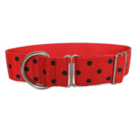 Everyday walking collar - Red & black dot