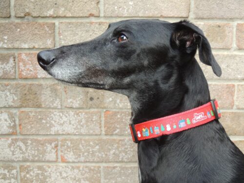 Merry Christmas house collar - Image 3