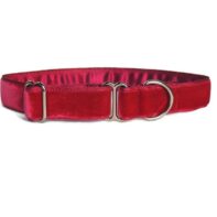 Luxury velvet house collar - Burgundy