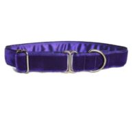 Luxury velvet house collar - Purple
