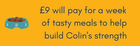£9 will pay for a week of tasty meals to help build Colin's strength.