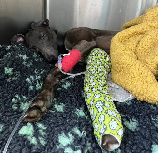 Colin recovering