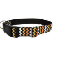 Orange & yellow zig zag house collar