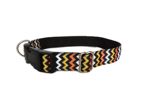Orange & yellow zig zag house collar