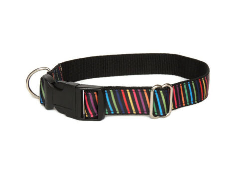 Multicolour stripes house collar