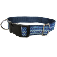 Blue zig zag house collar