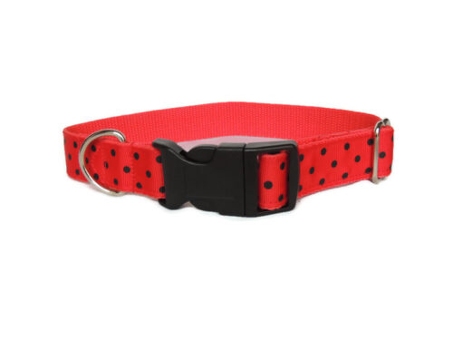 Red & black dot house collar - Image 2