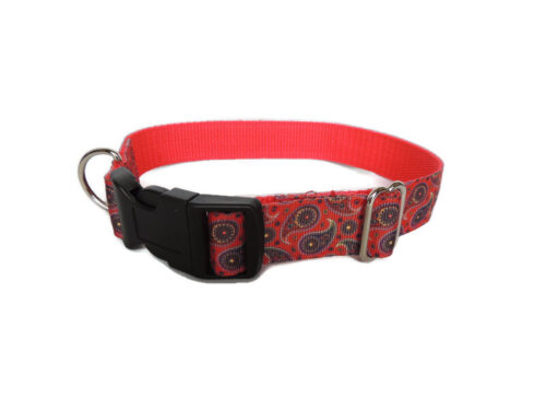 Red Paisley House Collar
