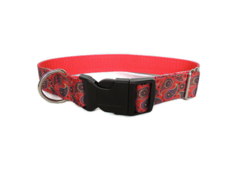 Red Paisley House Collar - Image 2