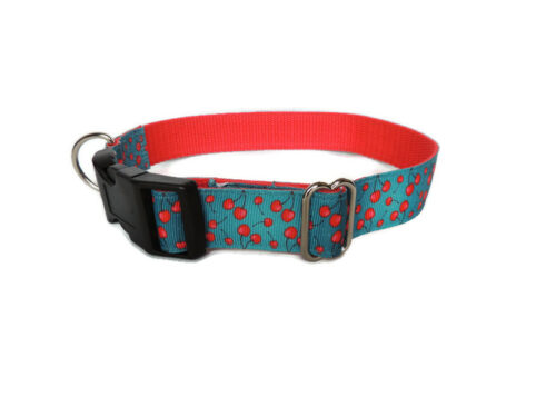 Red Cherry House Collar