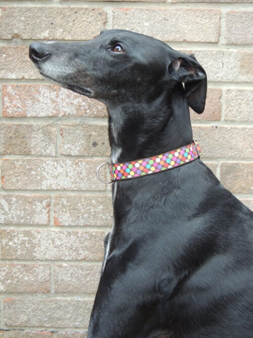 Luxury Chocolate Smarties house collar - Image 3