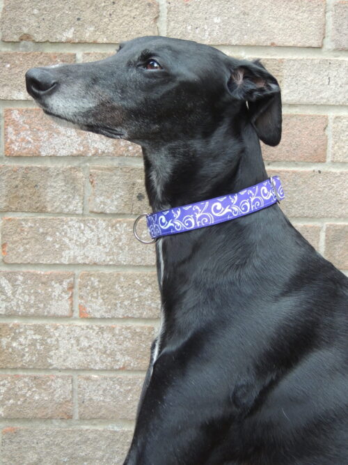 Luxury Purple Swirls house collar - Image 3