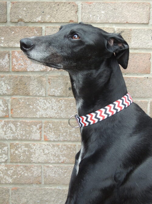Luxury Red & black chevron house collar - Image 3