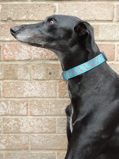 Red Cherry House Collar - Image 3
