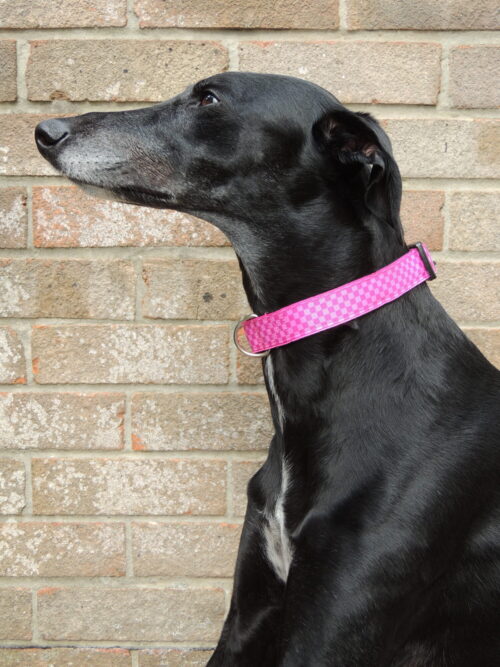 Pink check house collar - Image 3