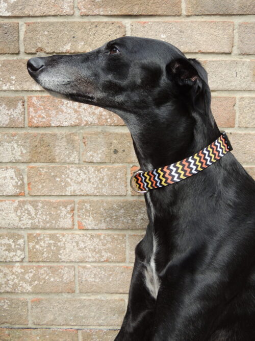Orange & yellow zig zag house collar - Image 3