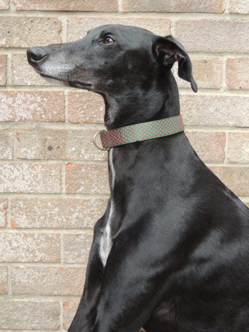 Luxury Raspberry dots house collar - Image 3
