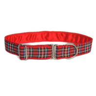 Luxury Red Tartan house collar
