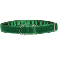 Luxury velvet house collar - Green