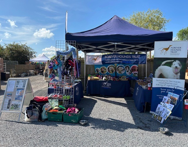 GreyFest Weekend FHT Stall